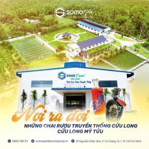 TOP 15 LOẠI RƯỢU TRUYỀN THỐNG VIỆT NAM ĐẶC SẢN CÁC VÙNG MIỀN