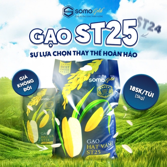 GẠO ST25 HẠT VÀNG LÚA TÔM - TÚI 5KG