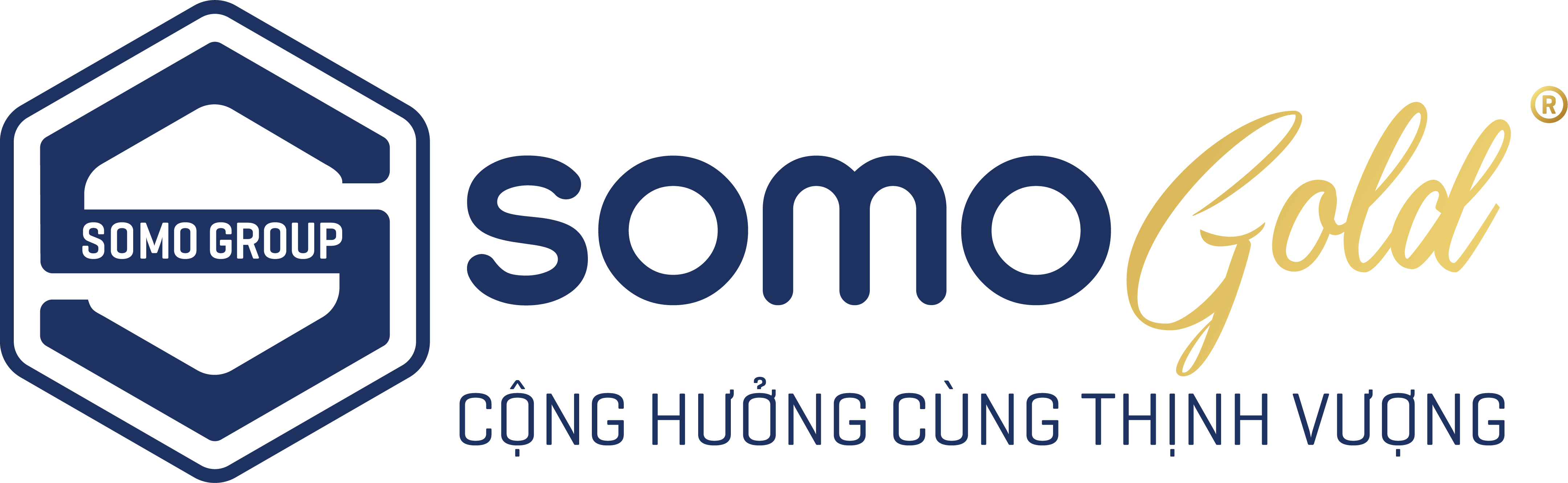 logo somo