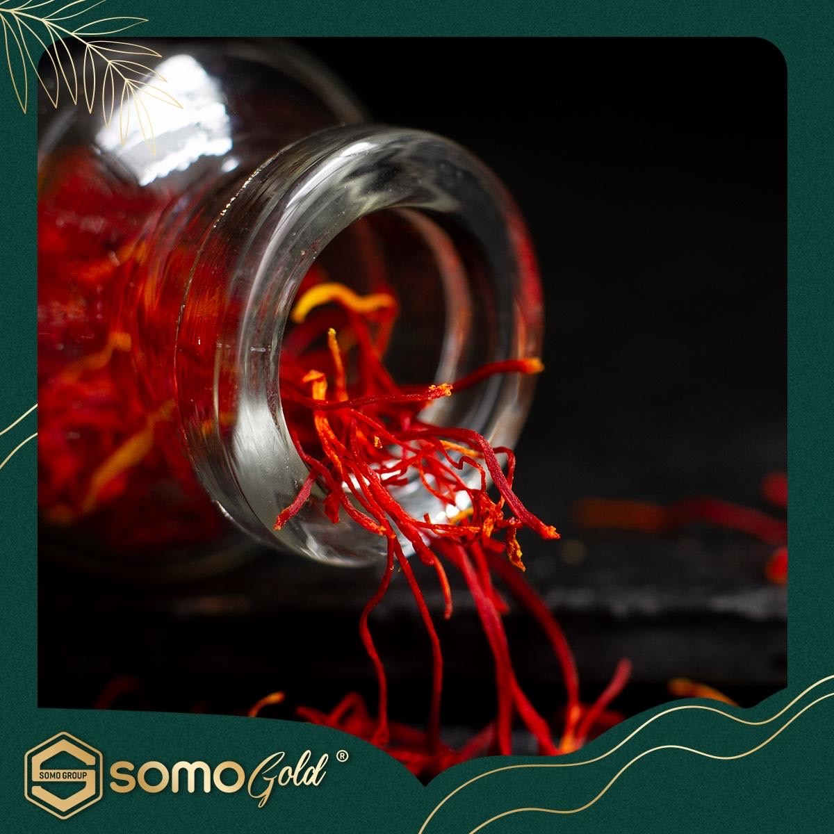 nhuỵ hoa nghệ tây saffron